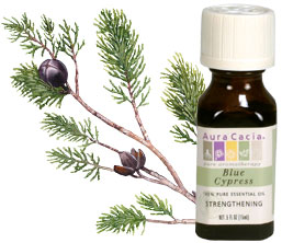 blue cypress essential oils and mindfulness